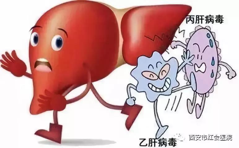 微信图片_20190319213858.jpg
