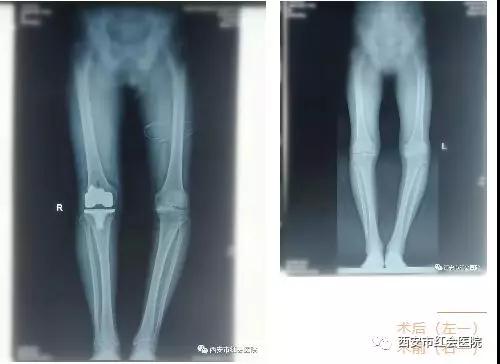 微信图片_20190404020002.jpg