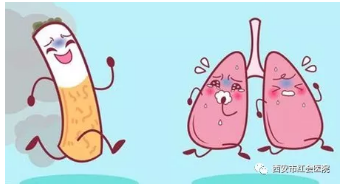 QQ截图20190614113850.png