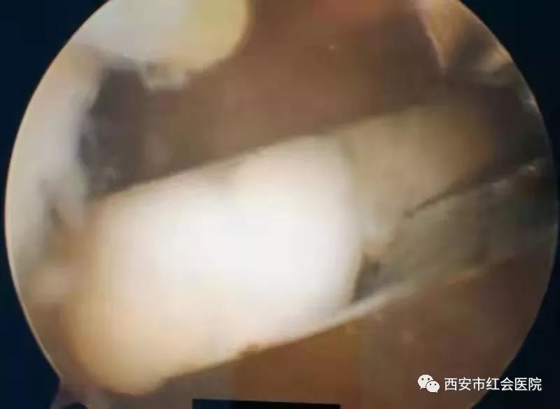 微信图片_20191219091415.jpg