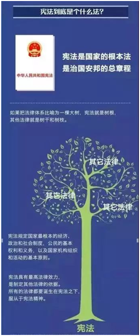 QQ图片20191223112658.png