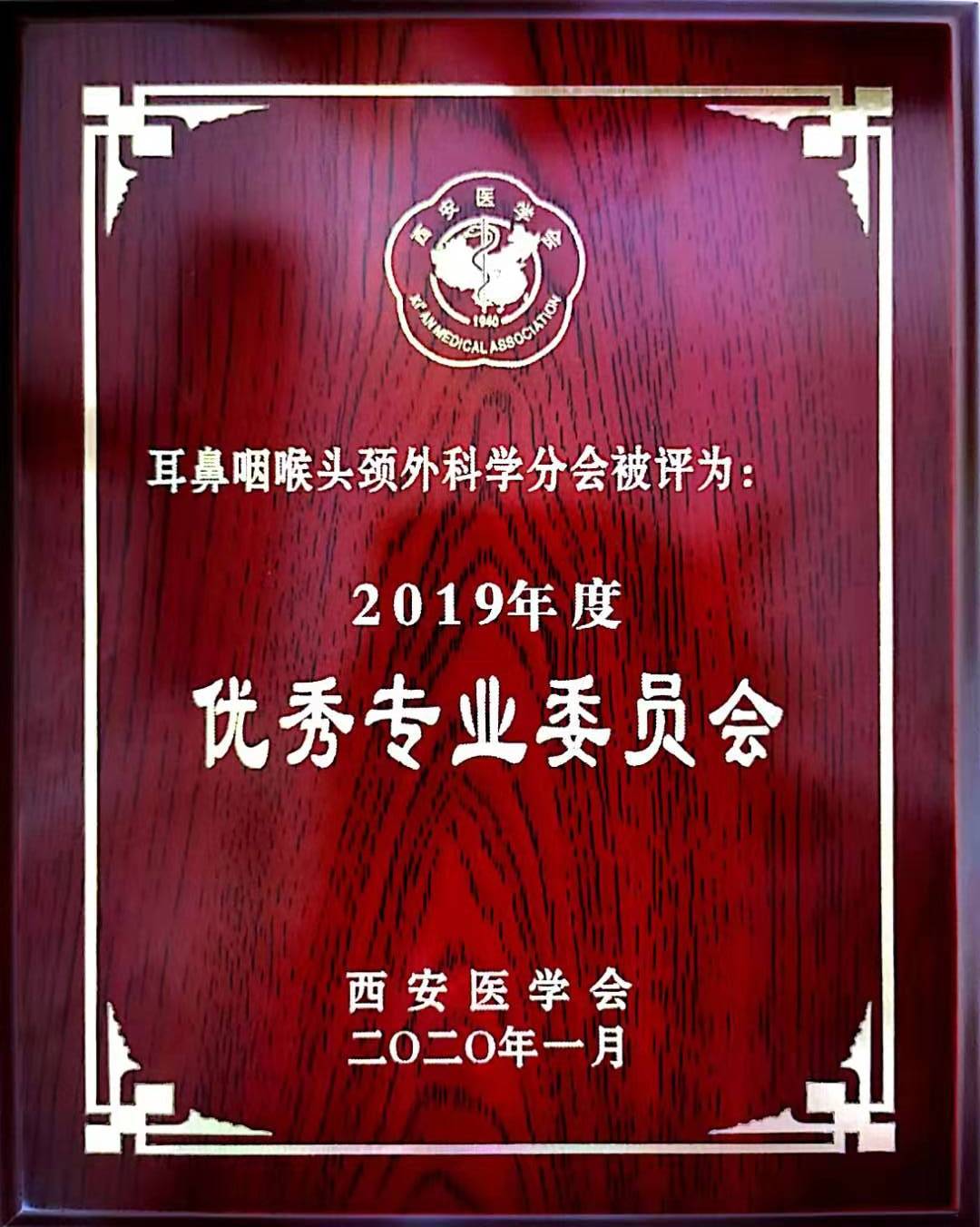 优秀专业委员会证书.jpg