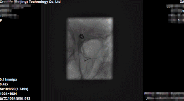 微信图片_20200518082158.gif