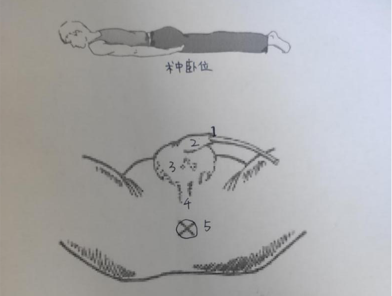 微信图片_20200518083352.png