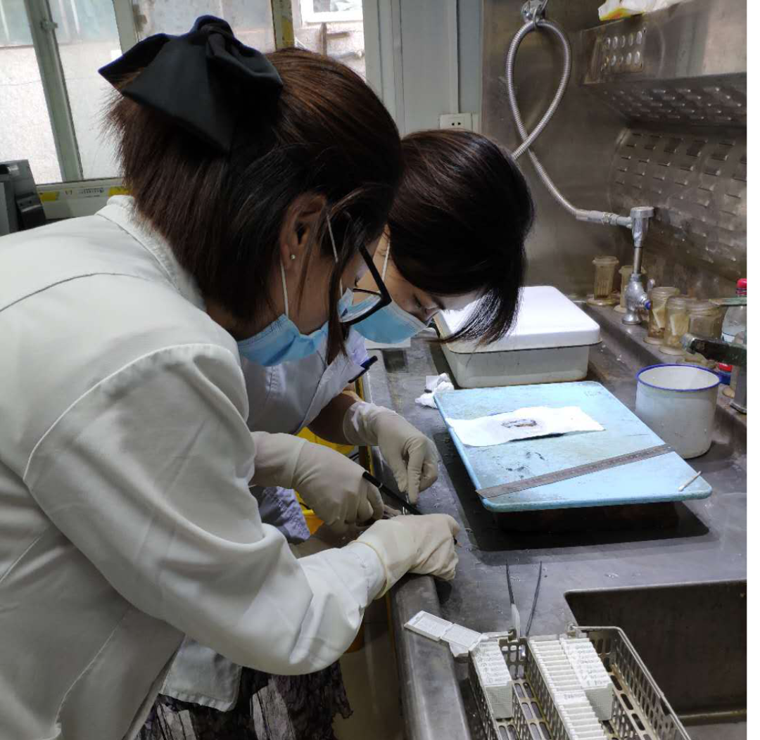 640 (1).png 640 (1).png