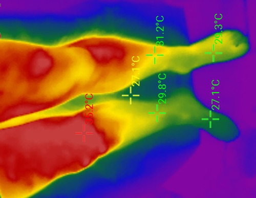 20201126_144346_139.png