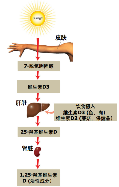 图片17.png