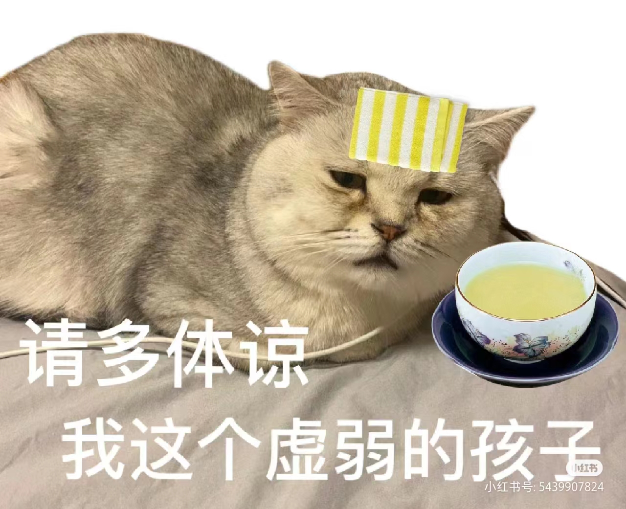 微信图片_20230914111734.jpg
