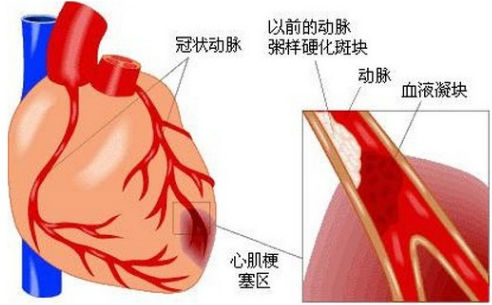 微信图片_20230927222650_1.png
