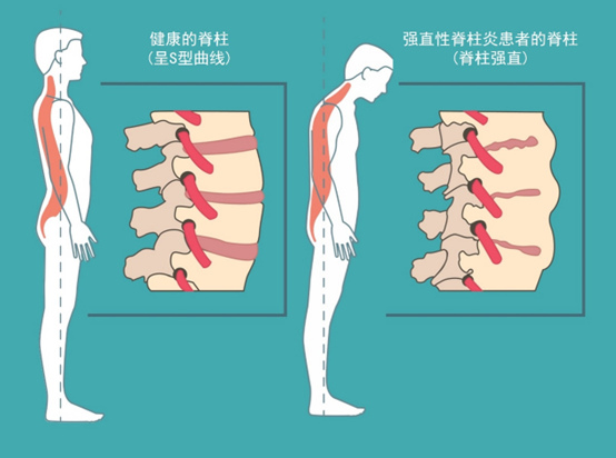 微信图片_20231012185750.png
