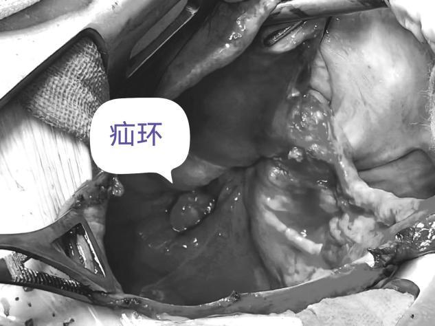 图片19.png