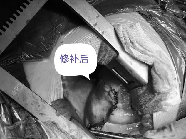 图片20.png