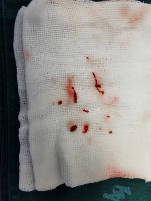 DM_20240422100905_003.PNG
