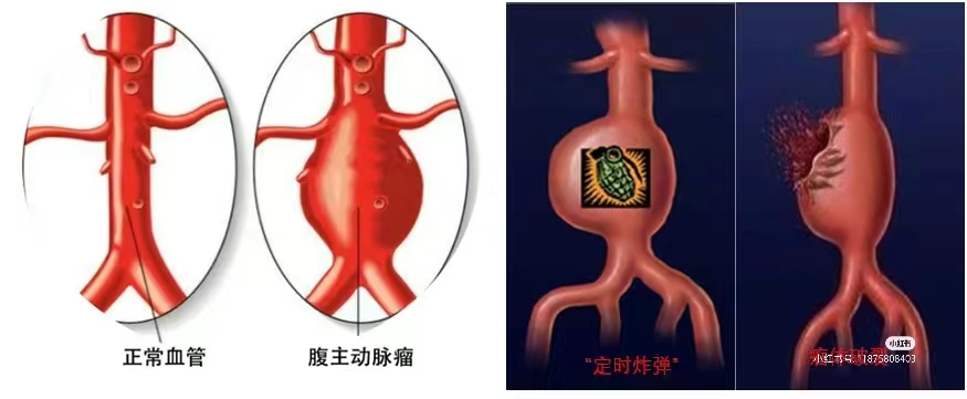 [10]图片.png