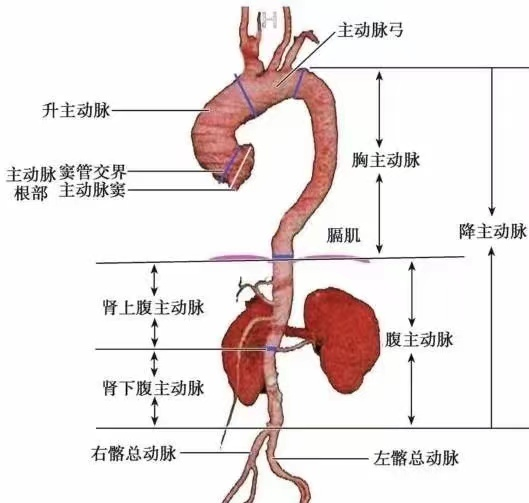 [5]图片.png