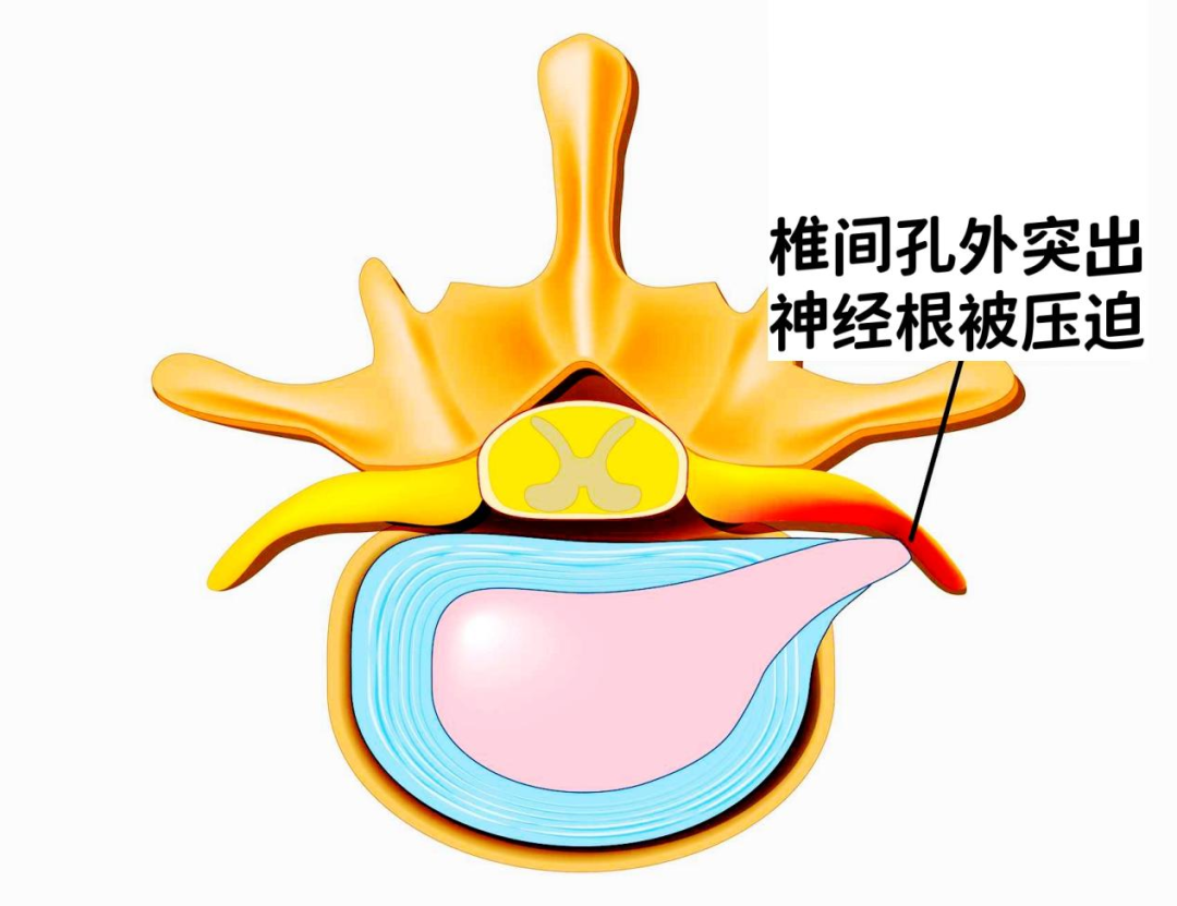 [7]图片.png