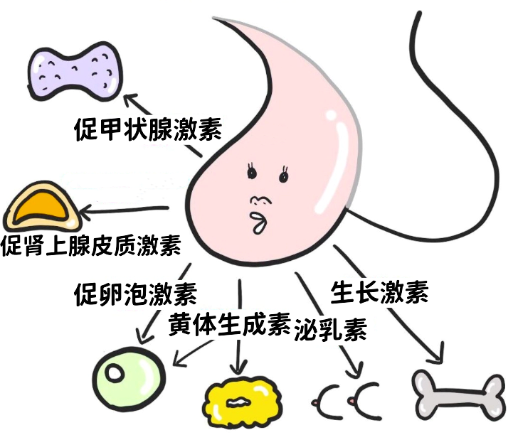 [8]图片.png
