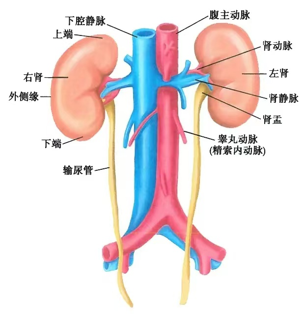 [4]图片.png