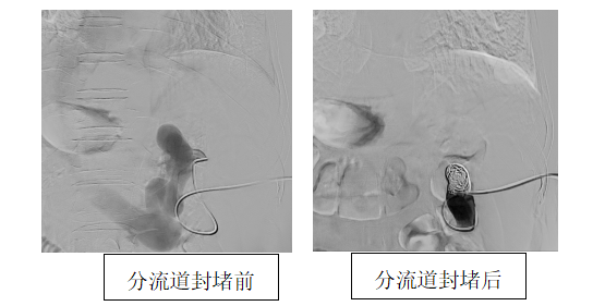 [4]图片.png