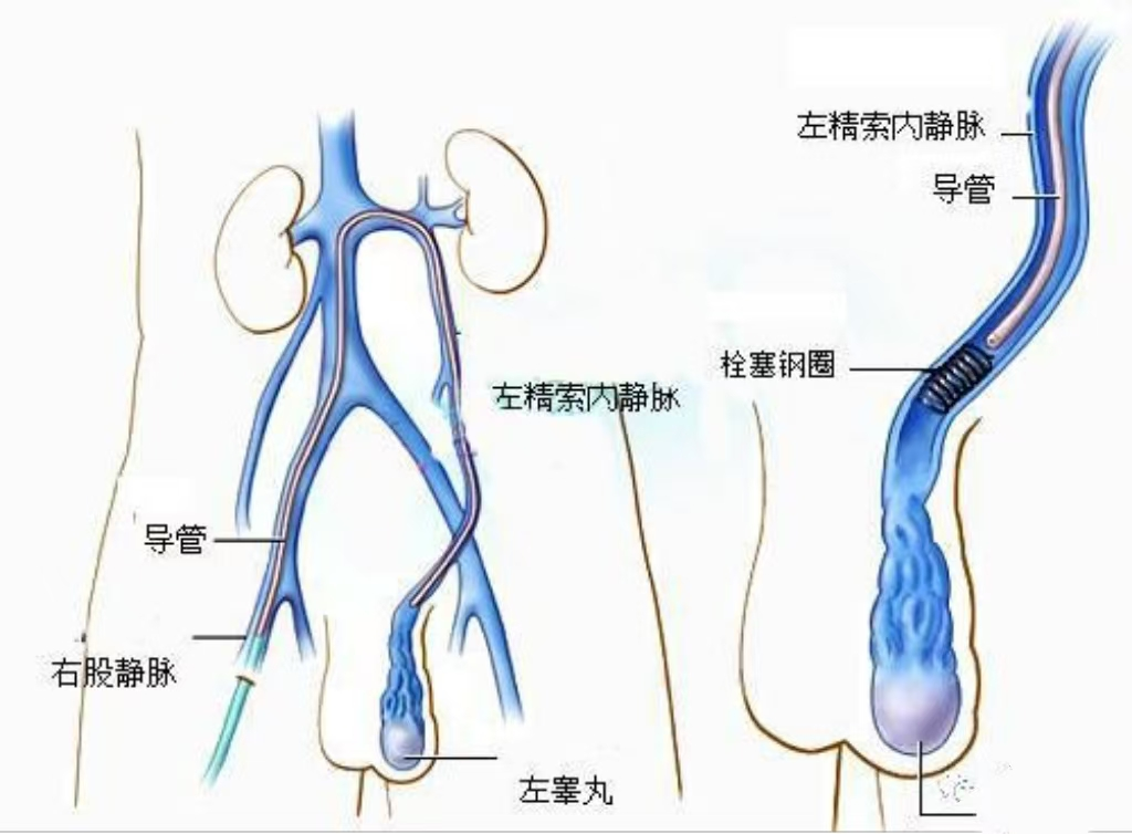 [5]图片.png
