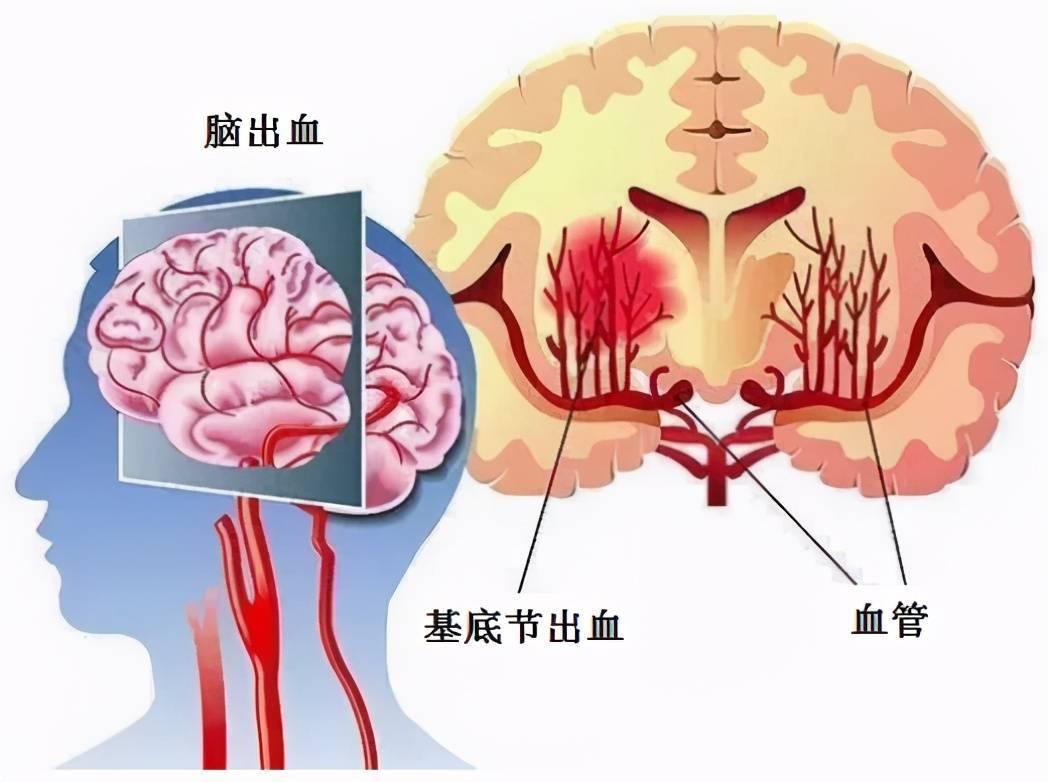 [7]图片.png