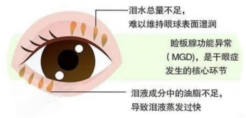 [8]图片.png