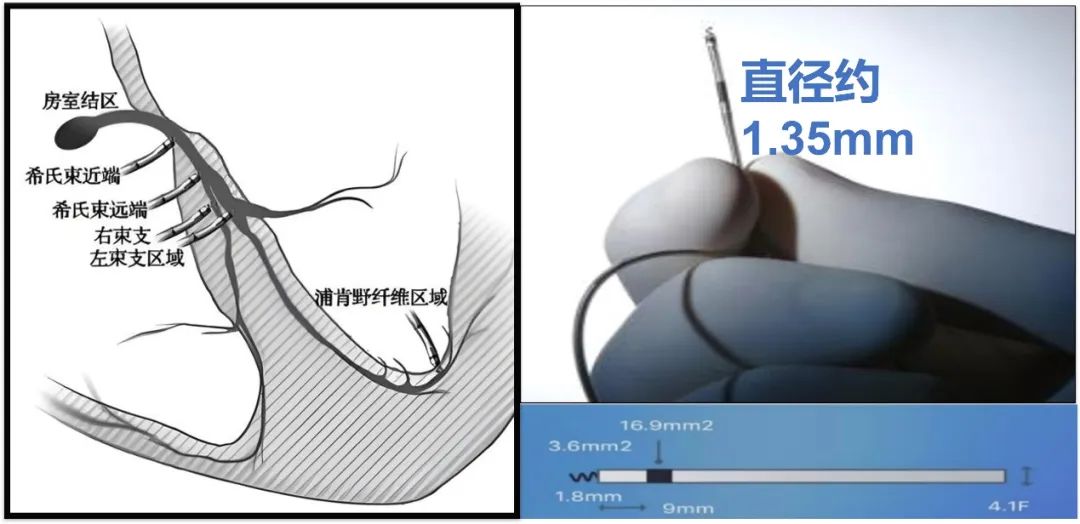 [7]图片.jpeg