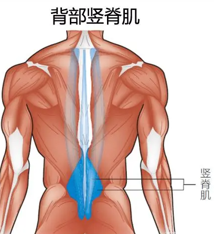 图片 3.png