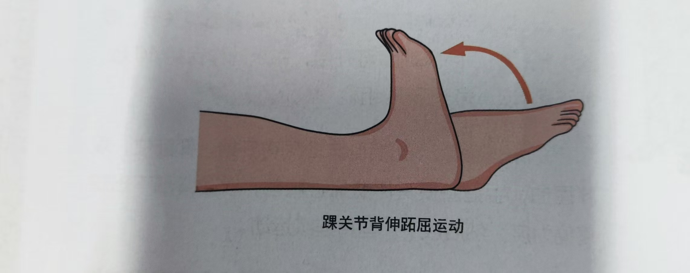 图片 2.png