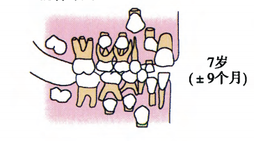 图片 1.png