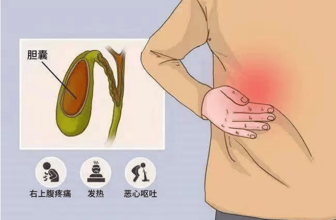 [6]图片 2.png.png