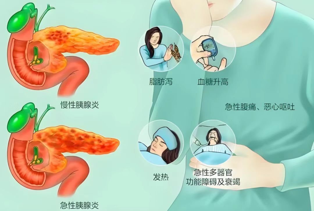 [4]图片 2.png.png