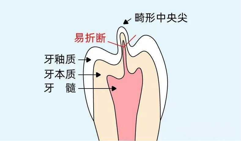 [8]图片.png