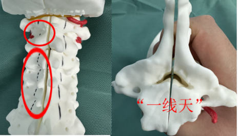 [4]图片.png