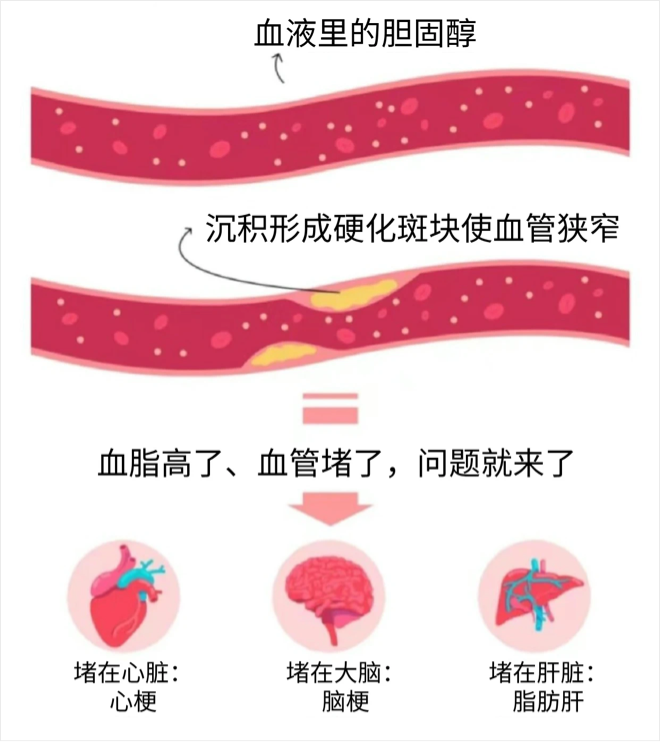 [5]图片.png