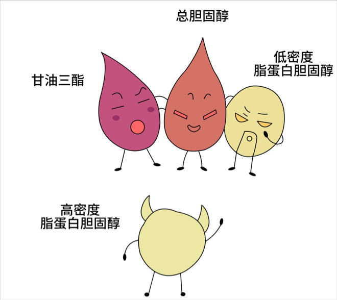 [6]图片.png