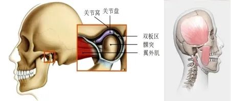 [3]微信截图_20250526150442.png.jpeg