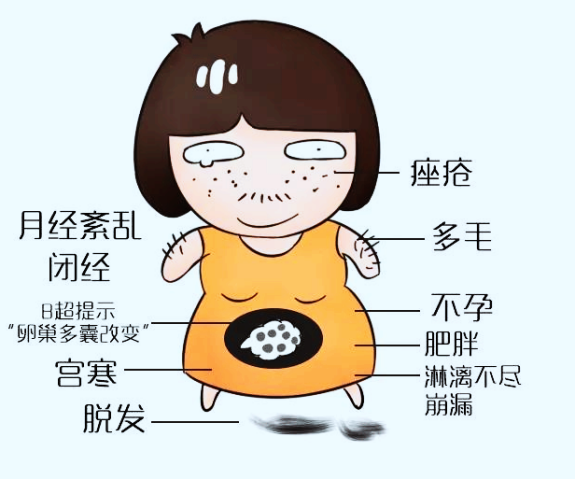 [5]图片 4.png.png