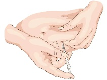 12_图片 3.png.png