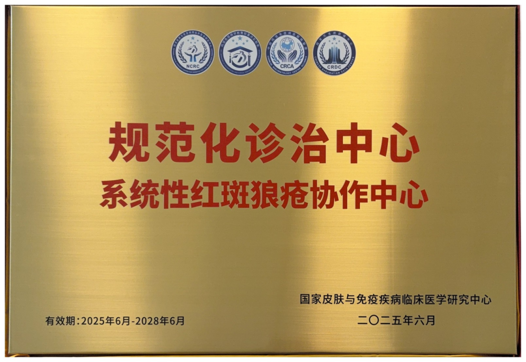 10_图片 1.png.png