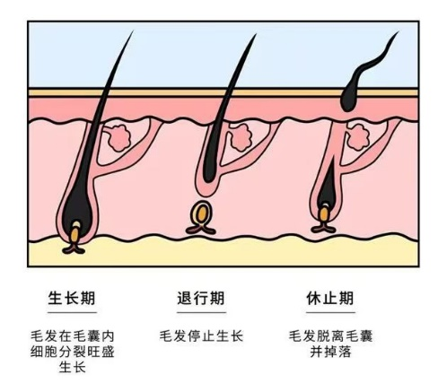 8_图片3.png.png