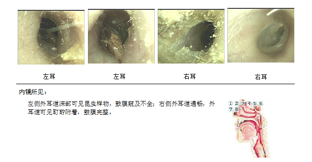 9_图片1.png.png 9_图片1.png.png