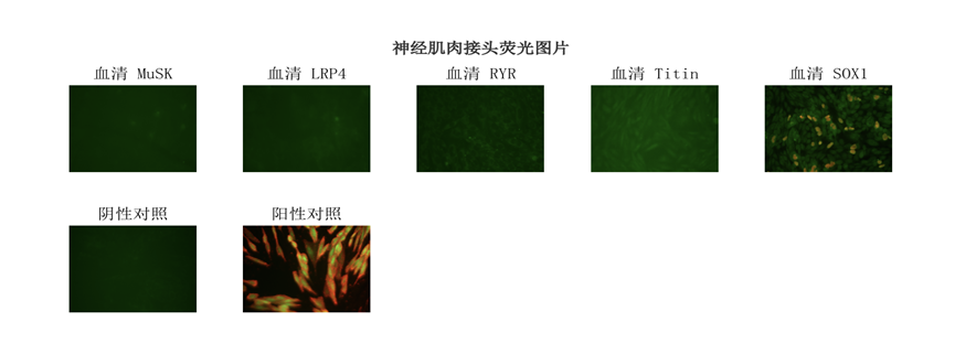 10_图片.png 10_图片.png