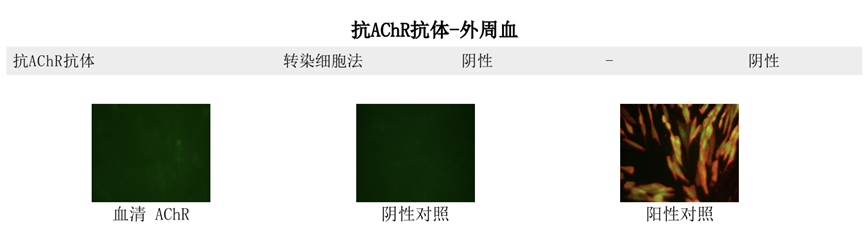 11_图片.png 11_图片.png