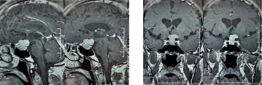 12_图片.png 12_图片.png