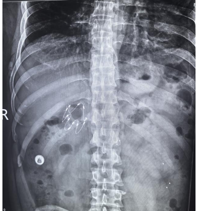 10_图片2.png.png 10_图片2.png.png