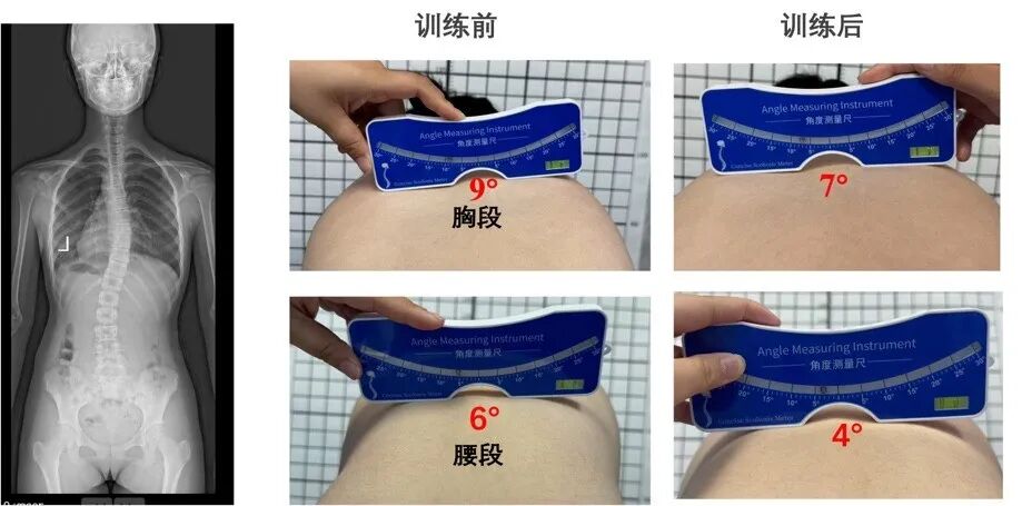 29_图片.jpeg 29_图片.jpeg