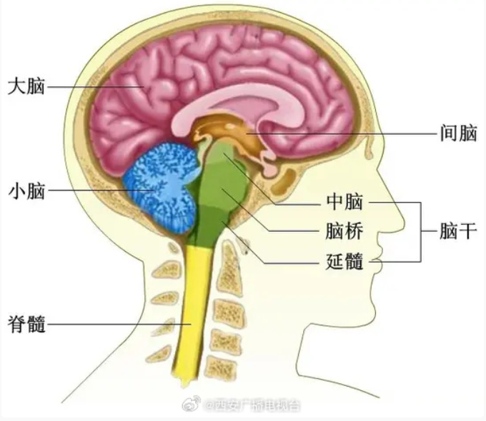 微信图片_20260626095753_646_57.png