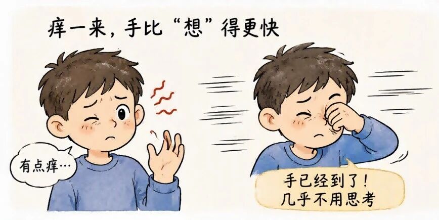 微信图片_2026-09-04_103206_419.jpg 微信图片_2026-09-04_103206_419.jpg